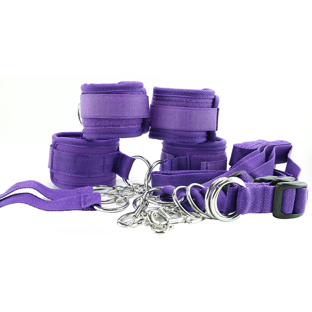 7 Piece Bed Restraint System